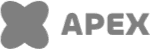 Apex Enterprises Logo