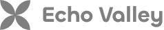 Echo Solutions Logo